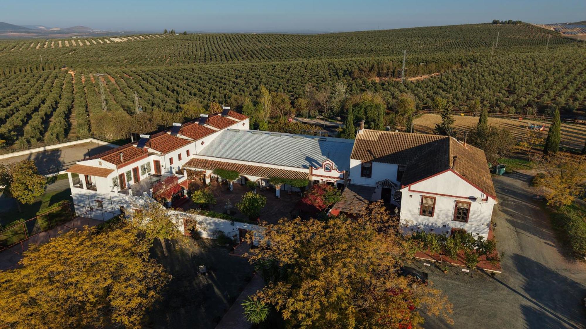 Cortijo Carrillo Bed & Breakfast Cartaojal Exterior photo